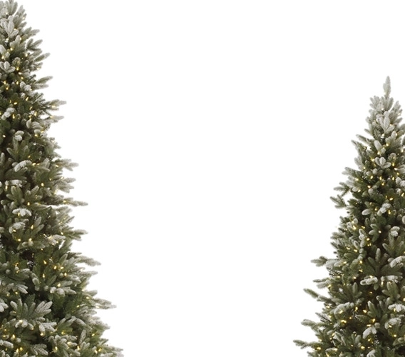 Frosted Artificial Christmas Trees