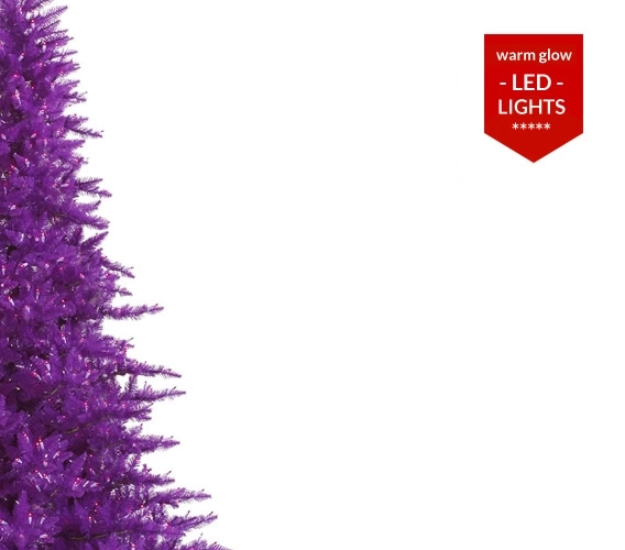 Purple Christmas Trees