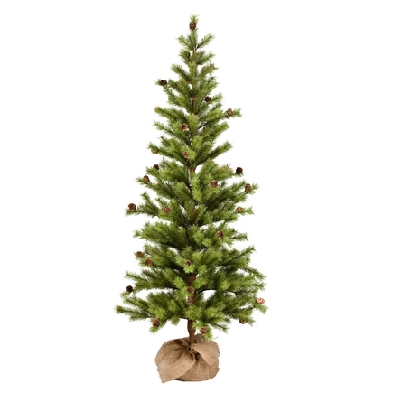 4' Dwarf Pine