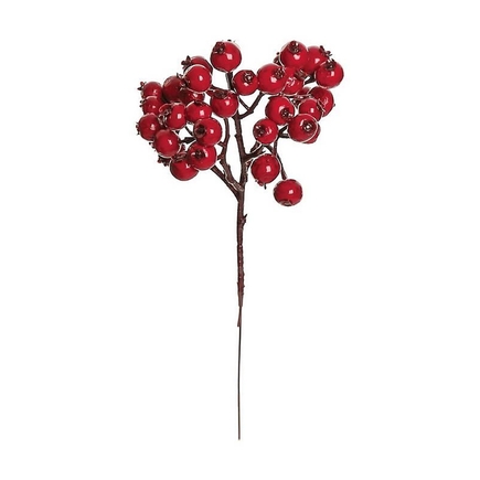 Outdoor Shiny Rosehip Pick 9" Set of 12 Red