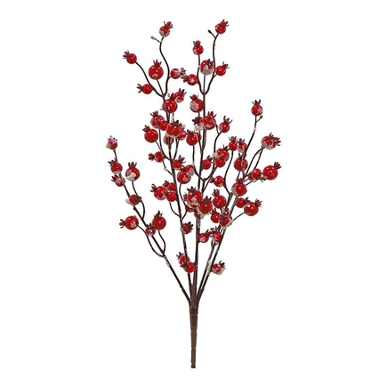Snow Dusted Rosehip Bush 23" Set of 6 Red