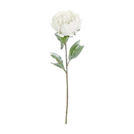 Frosted Peony Flower 28" Set of 6 White