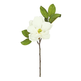 Southern Magnolia Flower 23" Set of 12 Cream