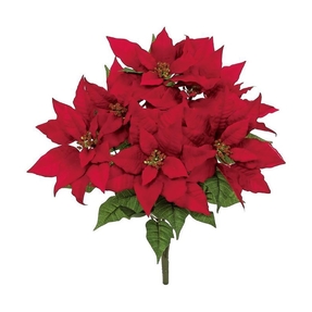 Star Poinsettia Plant 23" Set of 4 Red