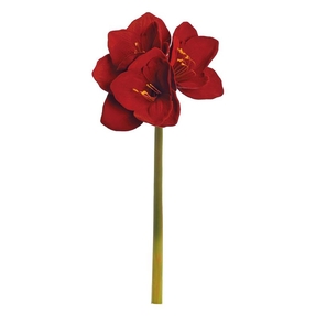 Velvet Amaryllis Flower 24" Set of 12 Red