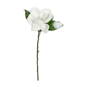 Frosted Magnolia Bloom 29" Set of 12 White