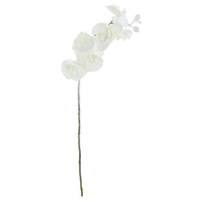 Frosted Phalaenopsis Orchid Stem 40" Set of 6 White
