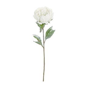 Frosted Peony Flower 28" Set of 12 White