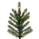 12' Atlas Pine Full Multi LED